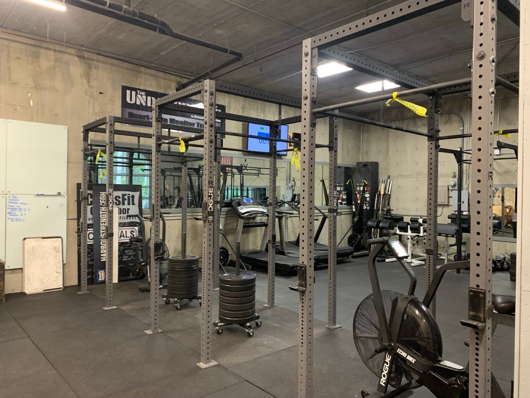 Open Gym