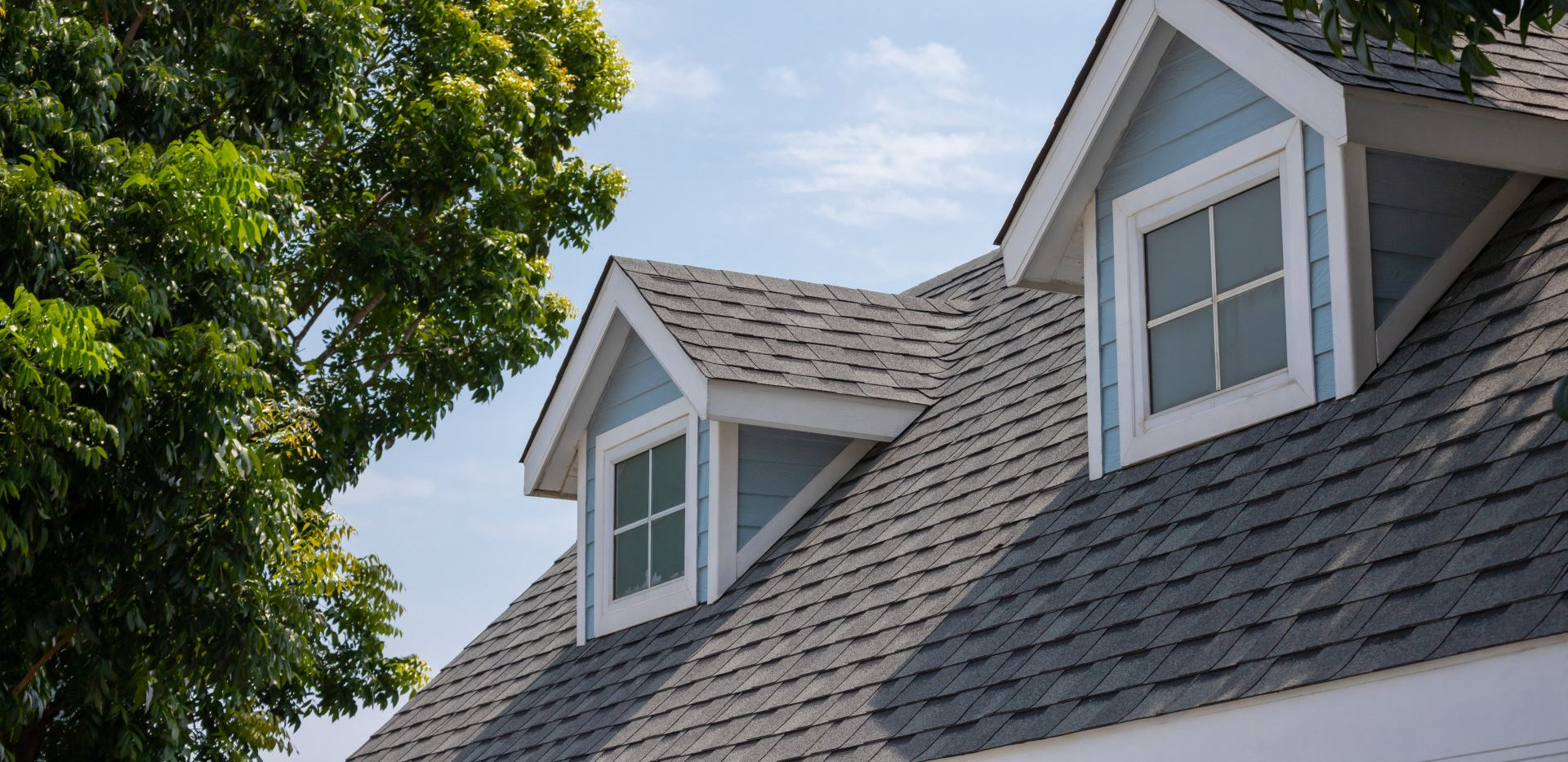Blue dormer windows on a gray-shingled roof under a bright sky, framed by green tree foliage.