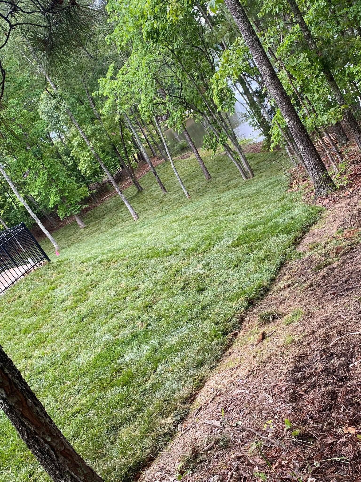 Sunny grassy park with trees and a dirt path, viewed at a slight tilt