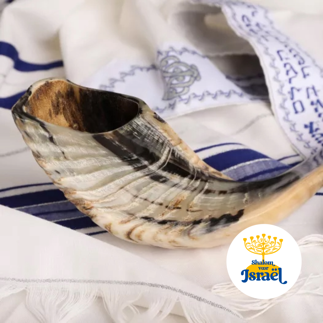 Tov Idee, Pesach, Lam, offer, Christelijke kaarten, messiaanse kaarten, kaartje, bijbelteksten, gift, christelijke gift, moedim, God, Yeshua, Hashem, Bijbelse feesten, Woord, Bijbel, wet