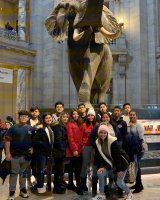 Group of people posing inside a museum beneath a large elephant statue.