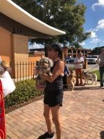 Person holding a small dog outdoors near a building, with people and another dog in the background.