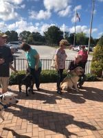 People with dogs standing on a brick patio near a parking lot and trees.
