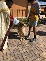 Two people standing with a golden dog on a brick patio near an orange wall