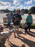 People with dogs on a brick walkway by a waterfront under a cloudy sky
