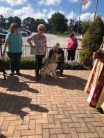 Three people and a dog standing on a brick patio near a flagpole and railing.