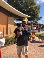 Person holding a small dog outdoors near brick building and trees, with another dog and people in the background