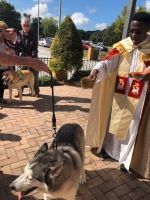 Priest blessing a husky on a leash outdoors near a brick patio and garden.