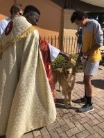 Priest blessing a dog while a person holds it outdoors on a brick patio