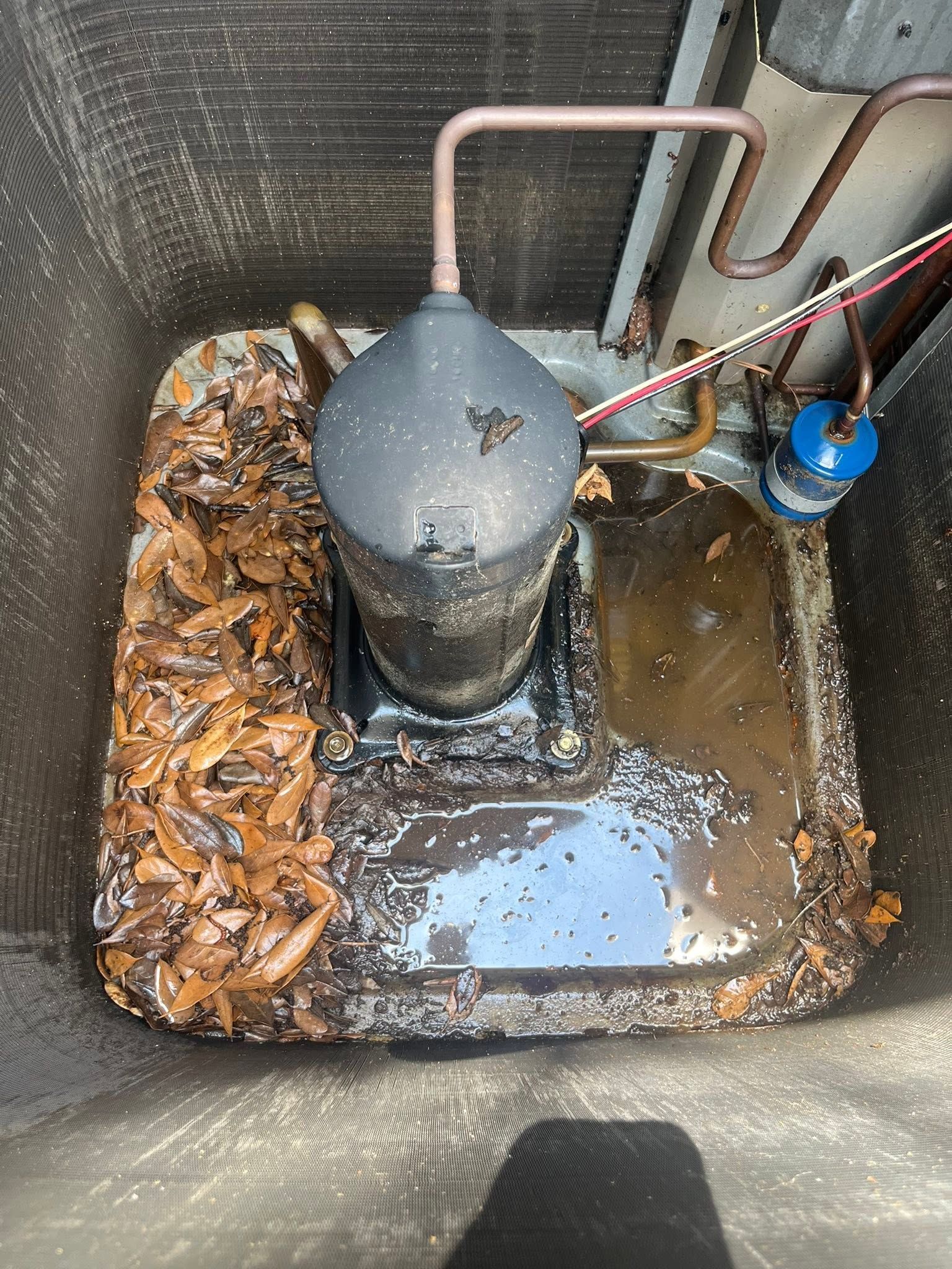 Dirty flooded utility pit with a central black tank, pipes, and wet leaves around it