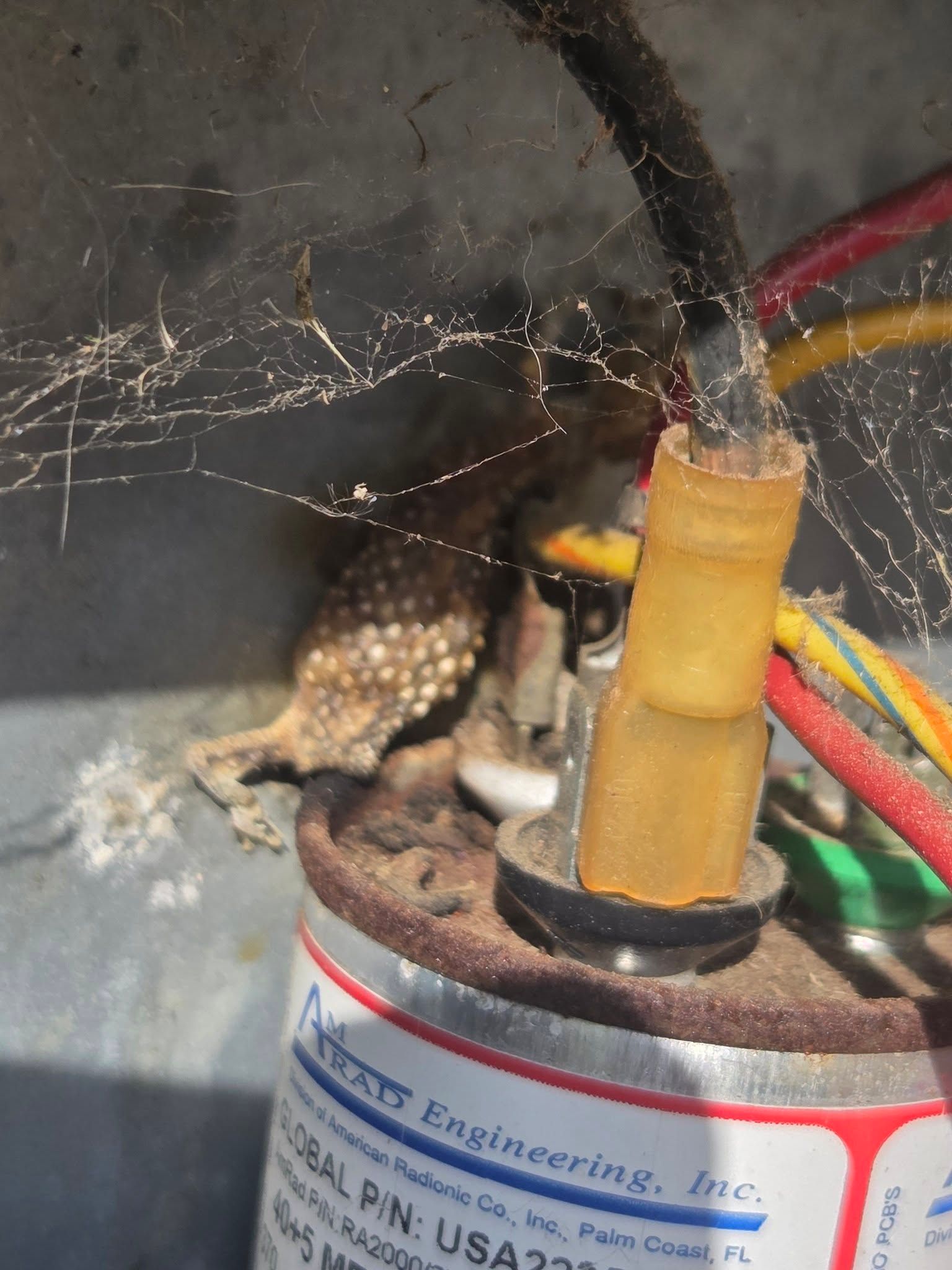 Close-up of a dusty electrical component with wires and a yellow connector inside a metal enclosure