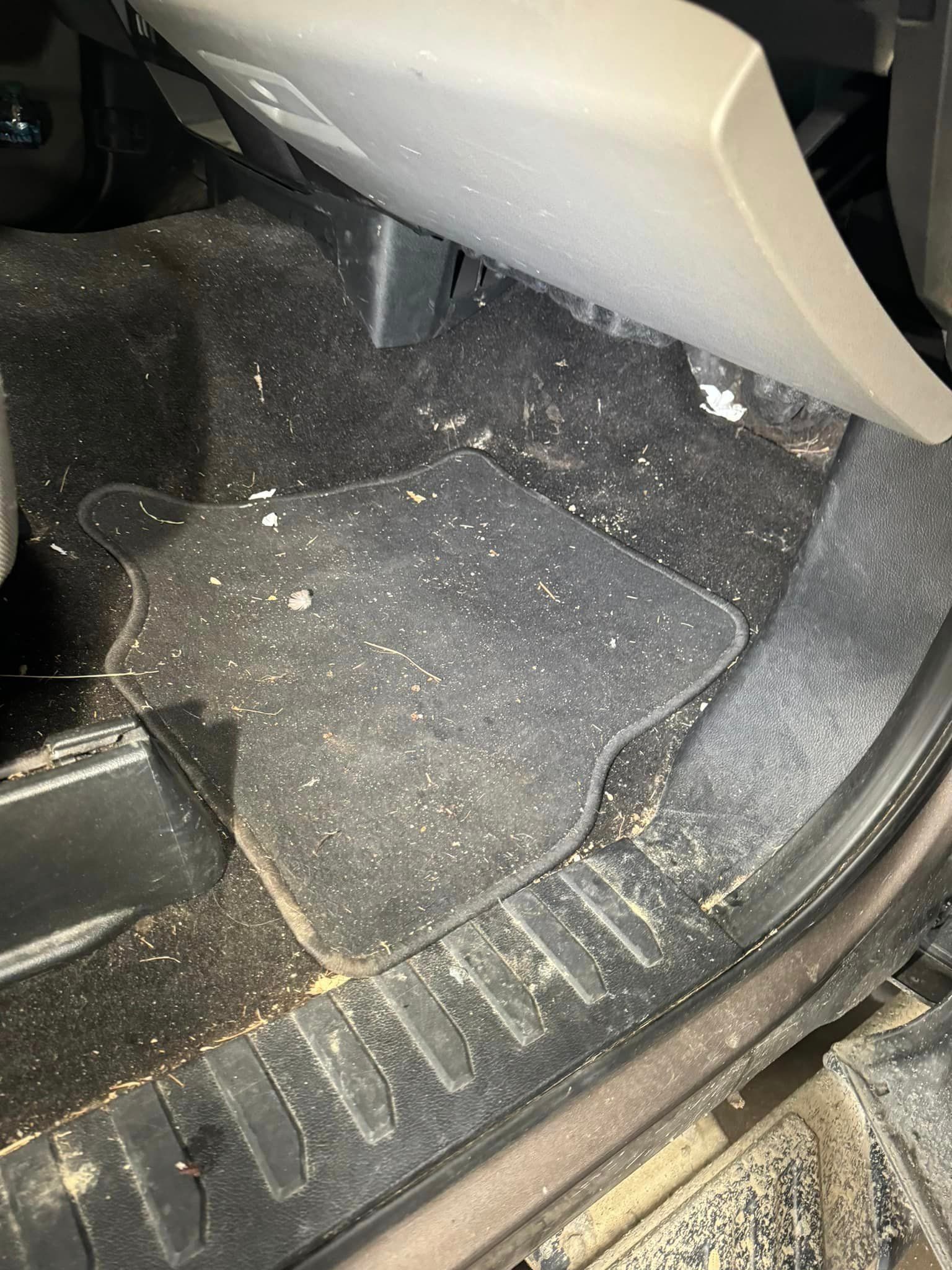 Before Interior Detailing