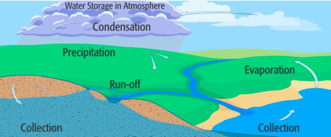 A graphic showing the water cycle