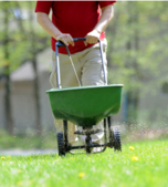 Person pushing a green fertilizer spreader across a grassy lawn