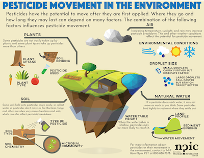 Infographic on pesticide movement in the environment, showing plants, soil, water, and air pathways.
