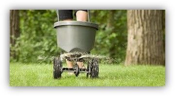 Person riding a garden cart on grass, viewed from behind, with trees in the background
