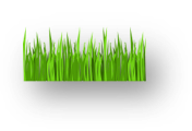 Diagram of a septic tank
