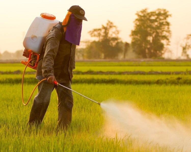 Farmer spraying pesticide in a green field at sunset, wearing protective gear and backpack sprayer