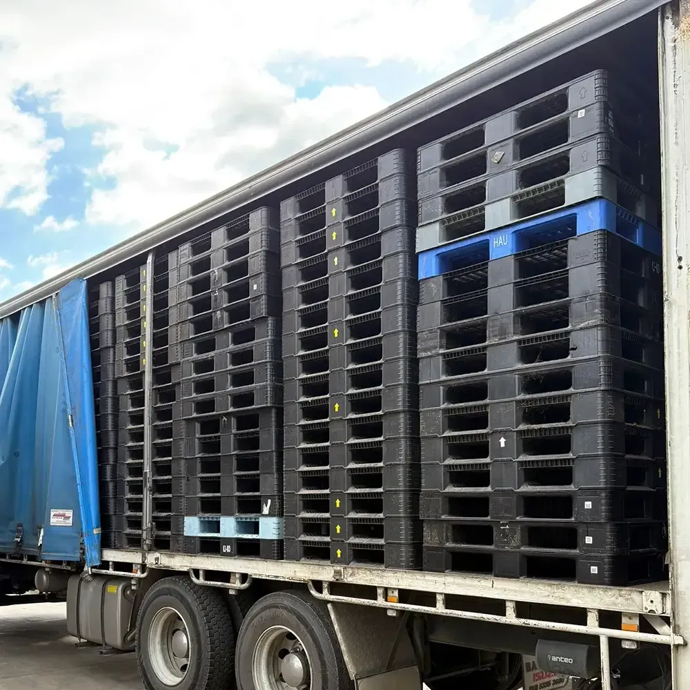 Export Standard Plastic recycled pallets for sale in Ballarat