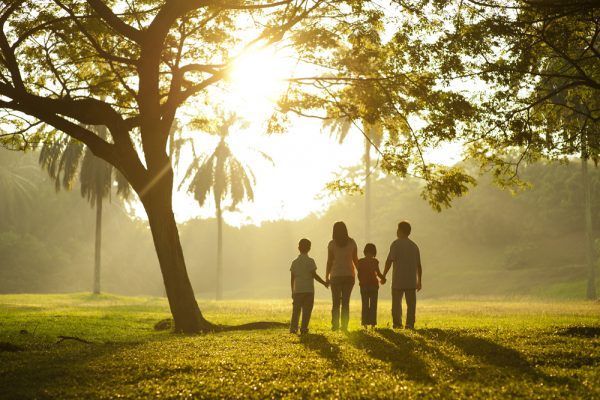 A family standing in a park and holding hands as the sun shines on them