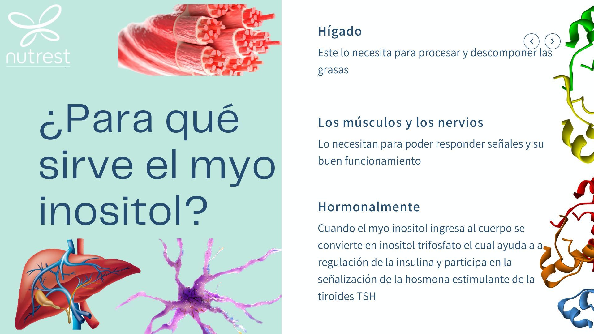 Myo inositol, conoce ¿cómo y cuándo tomarlo?