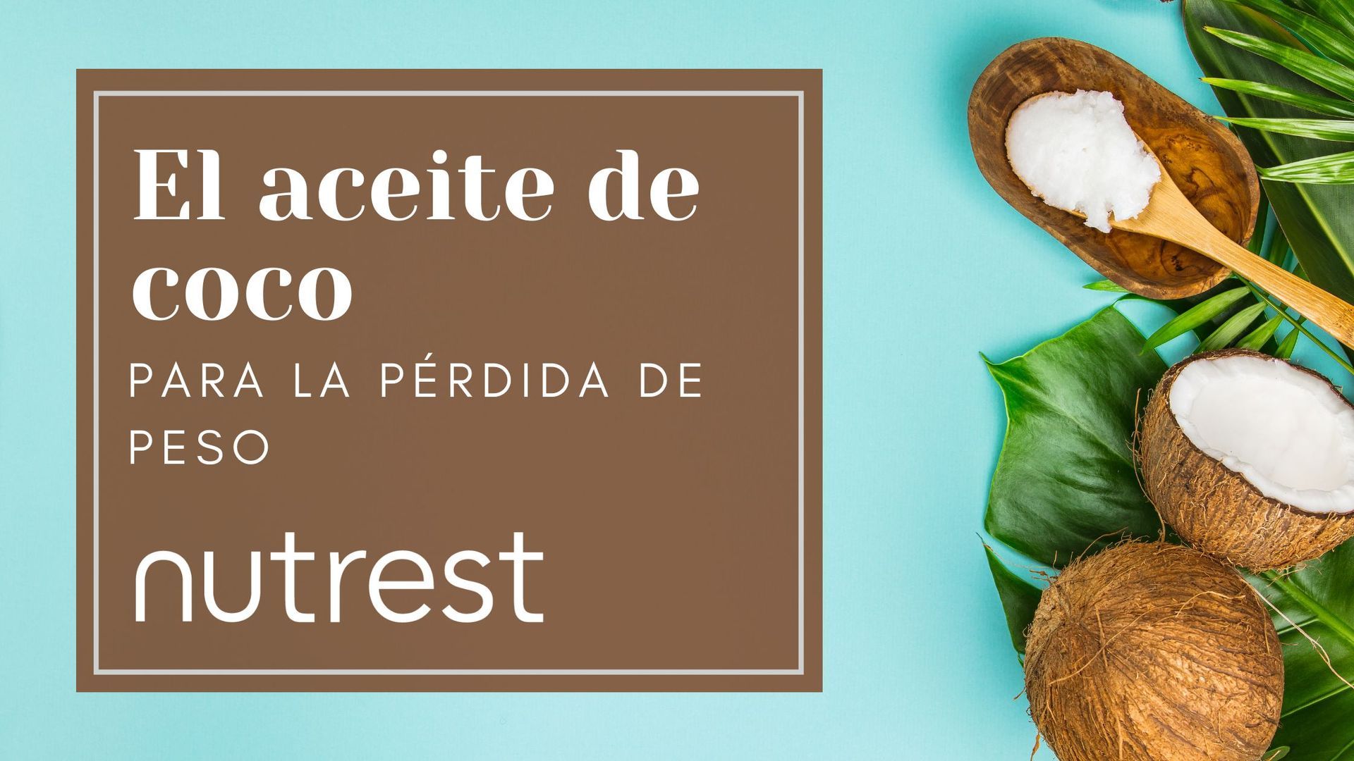 aceite de coco para perder peso