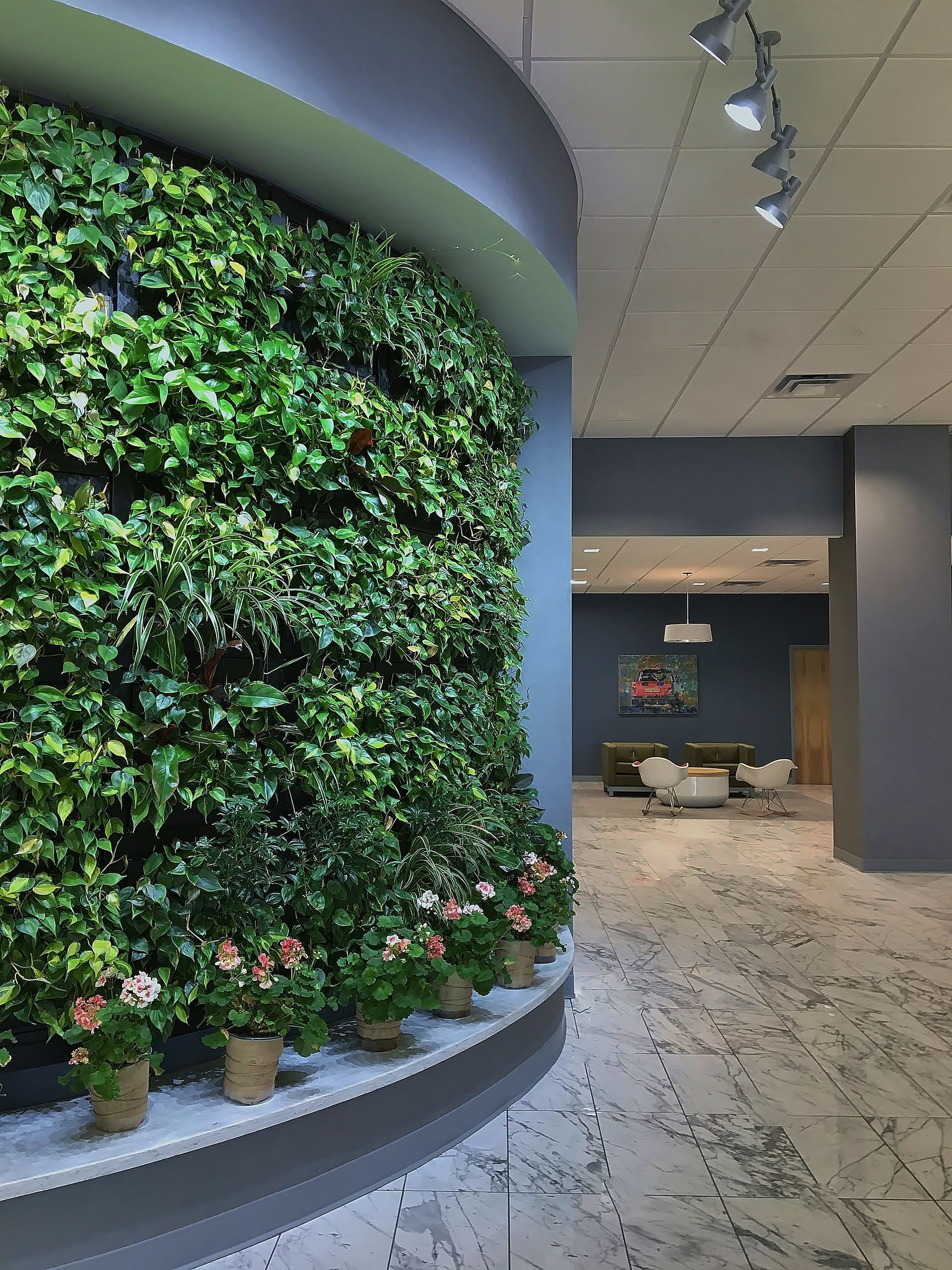 A hallway with a green wall and potted plants.