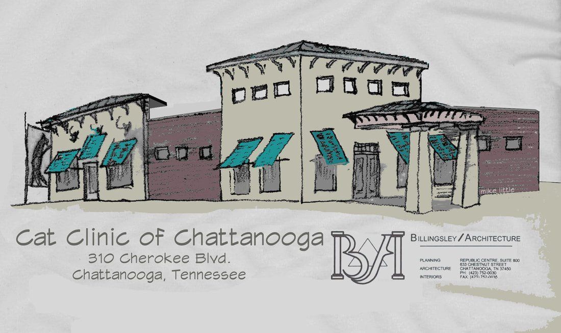 A drawing of a cat clinic of chattanooga