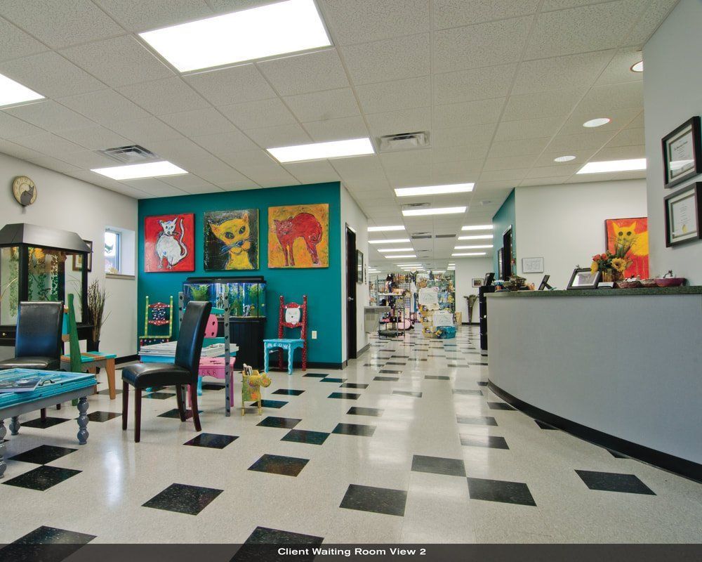 A hallway with a checkered floor and paintings on the wall