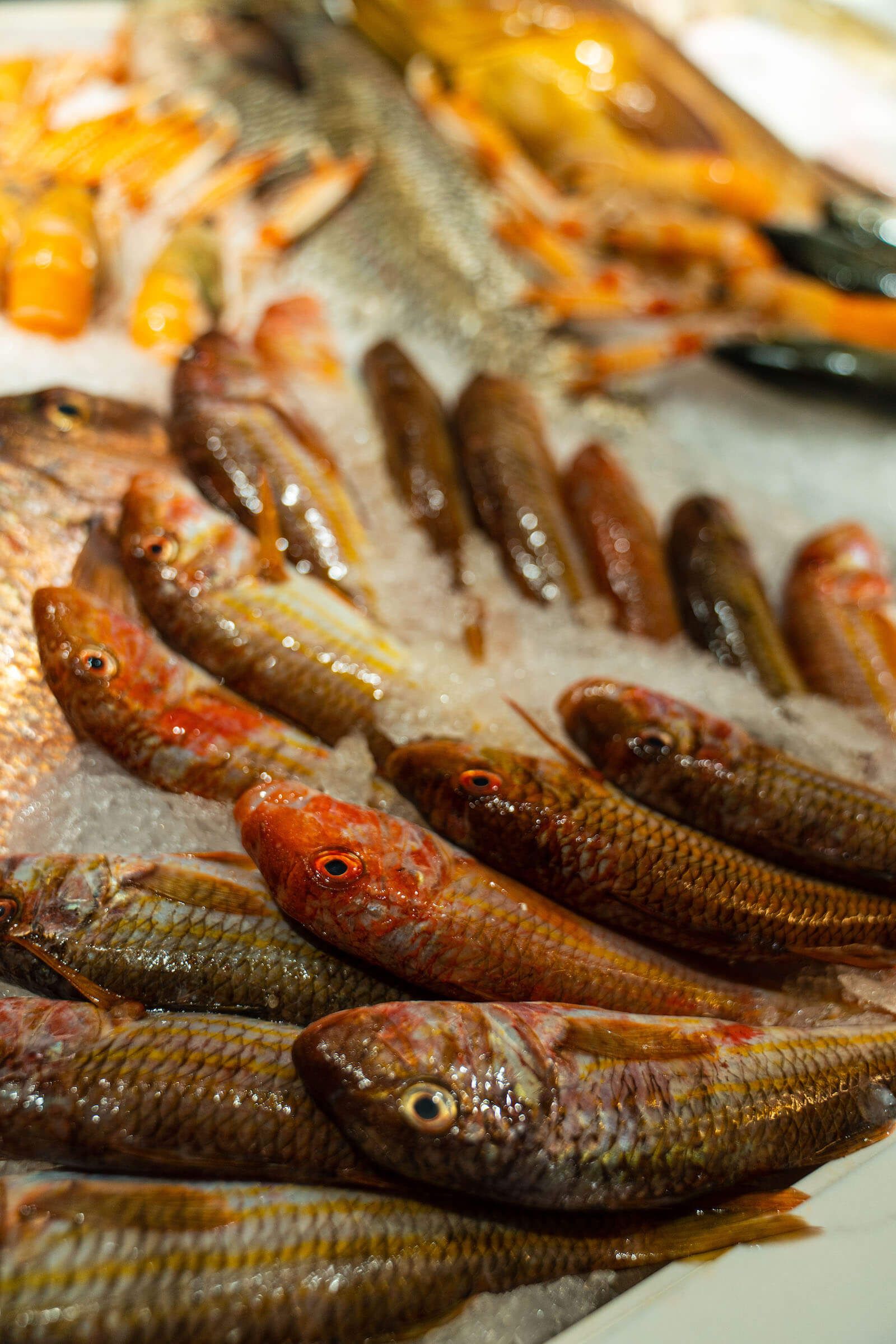 Adella Seafood Restaurant