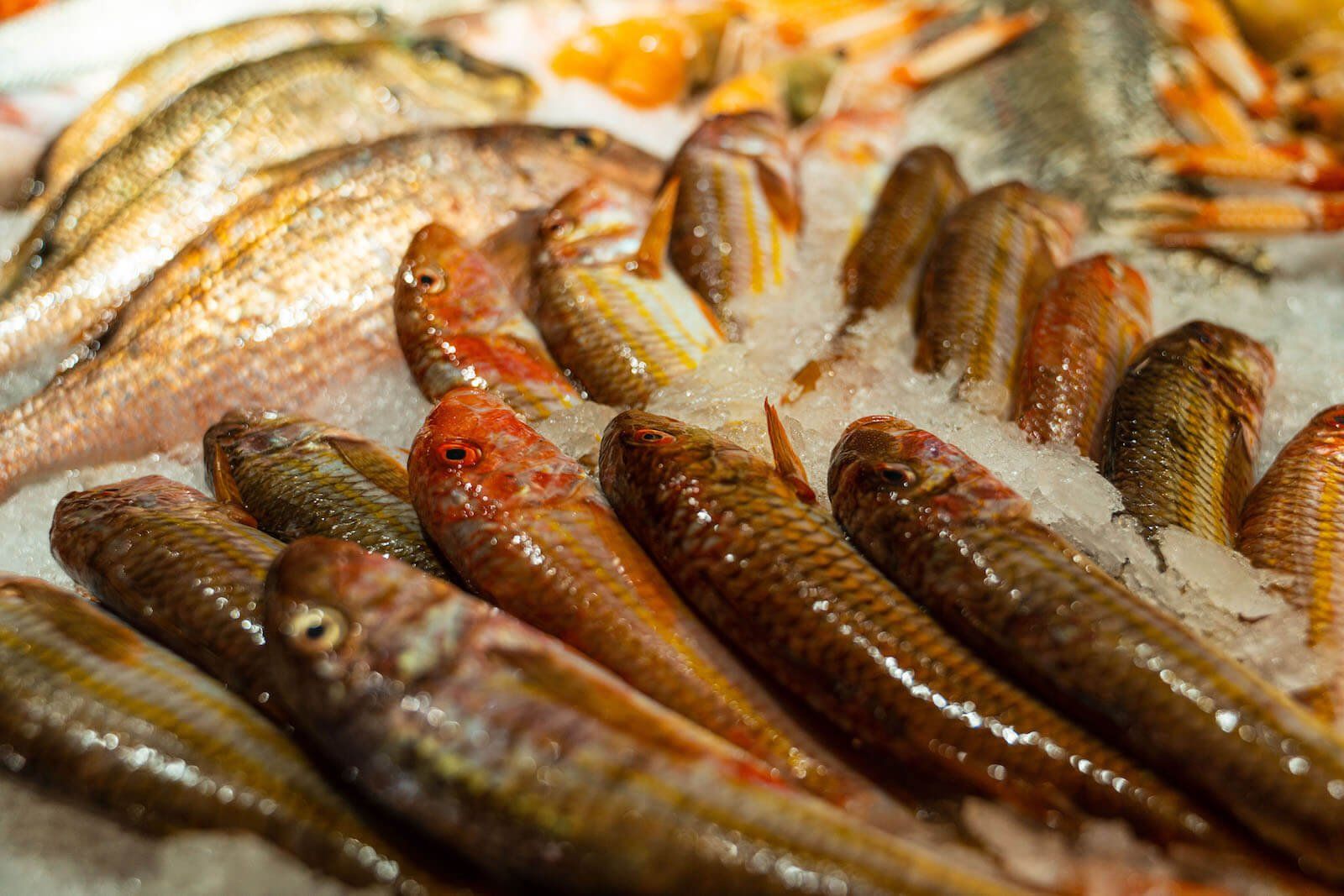 Adella Seafood Restaurant