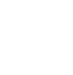 Go Texan Logo