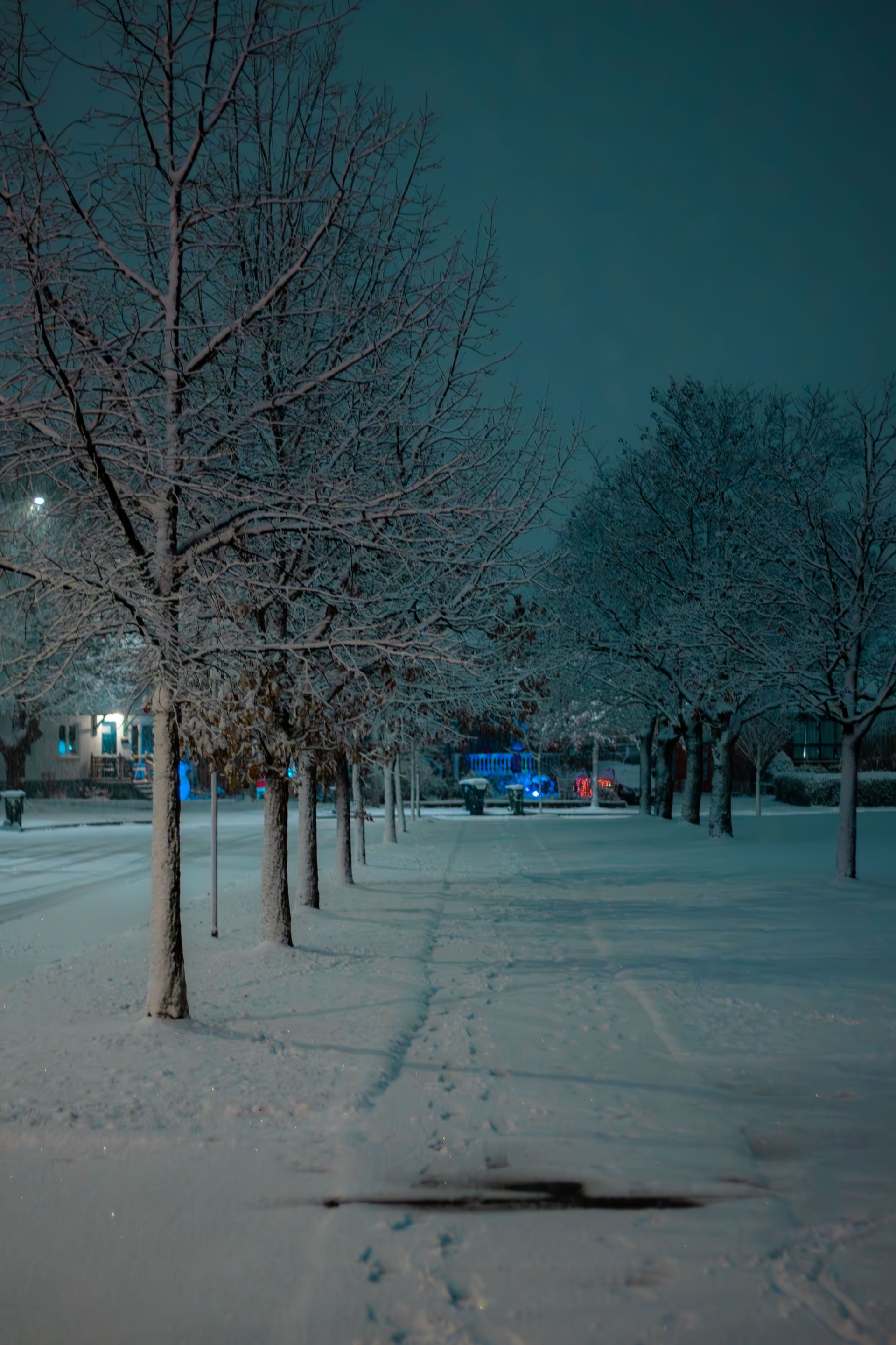 winter in Canada | MR Automotive