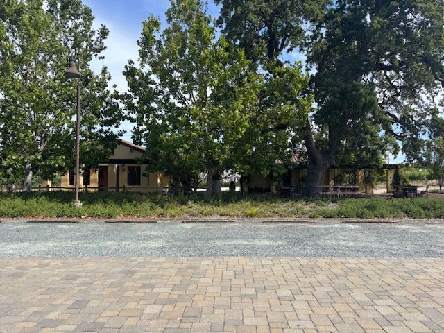 Low angle view of a building partially obscured by trees, in a sunny outdoor setting with a paved area in front.
