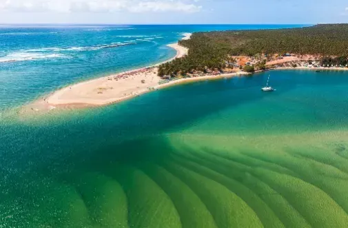 Maceió – Carnaval 2027