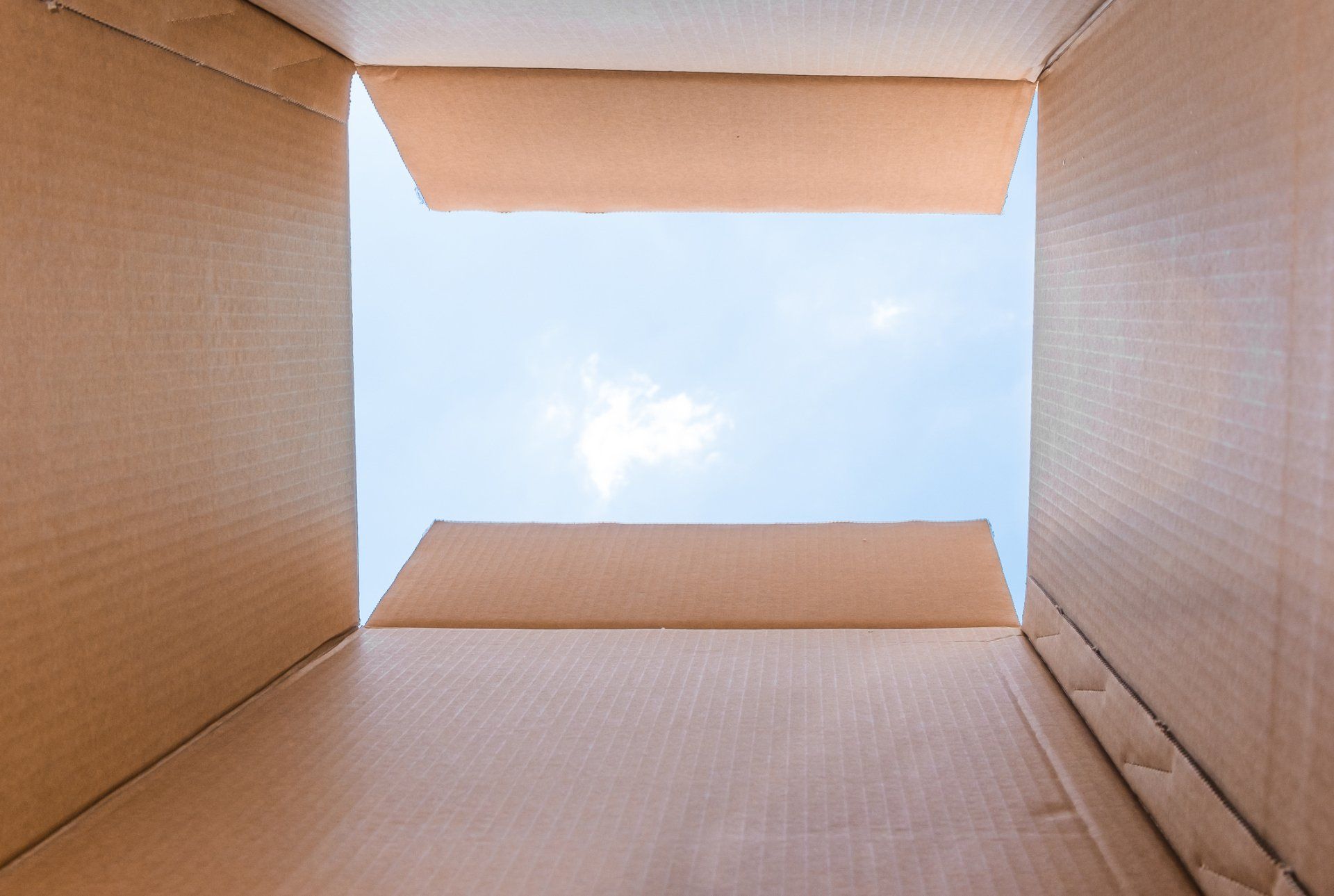 Opened Box — Evansville, IL — Bee Hive Storage