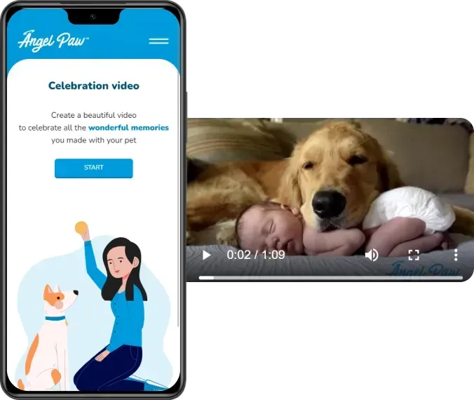 Celebration Videos