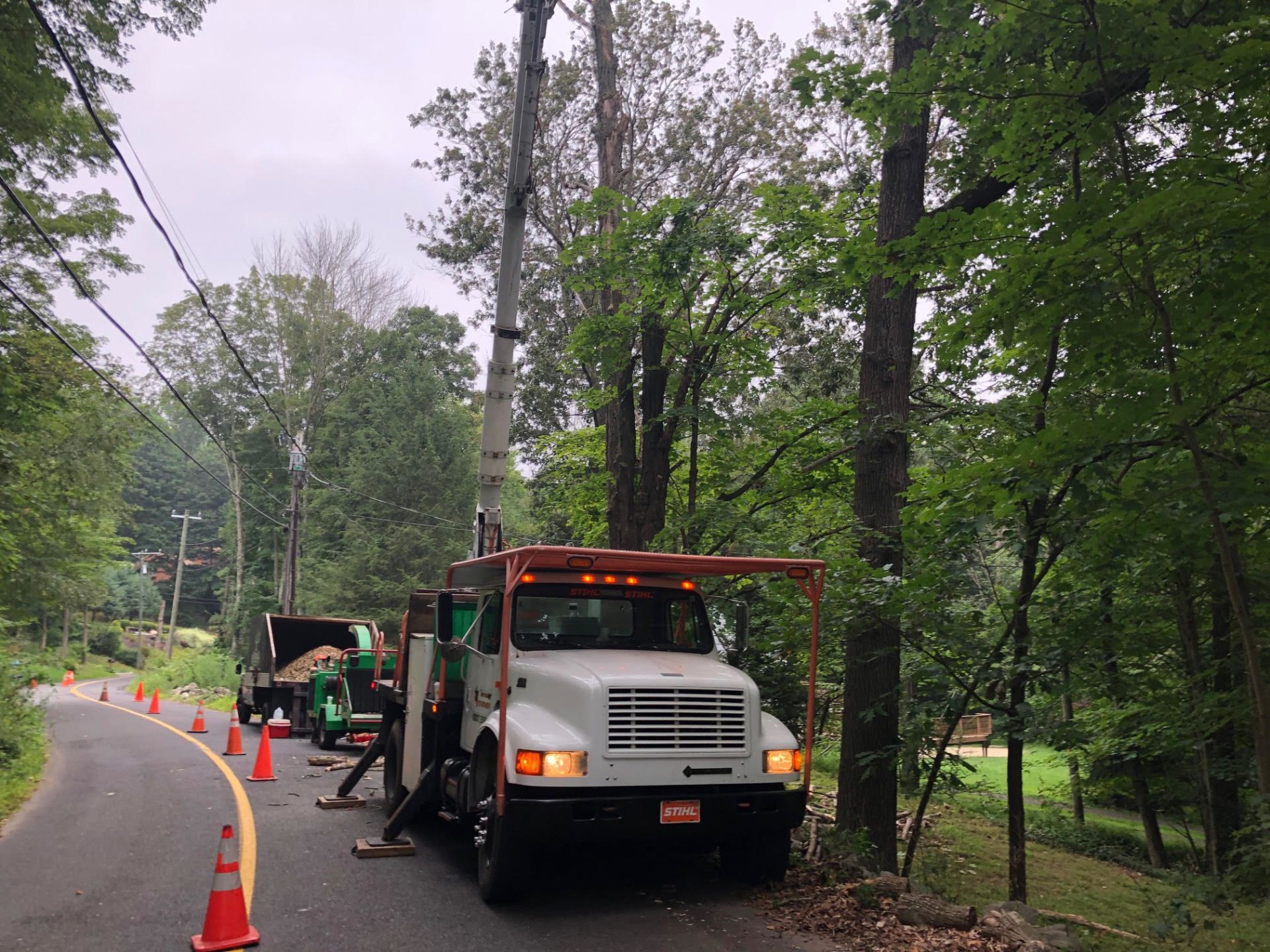 A tree service truck with a crane is trimming a tree near power lines on a road. Orange cones are set up.