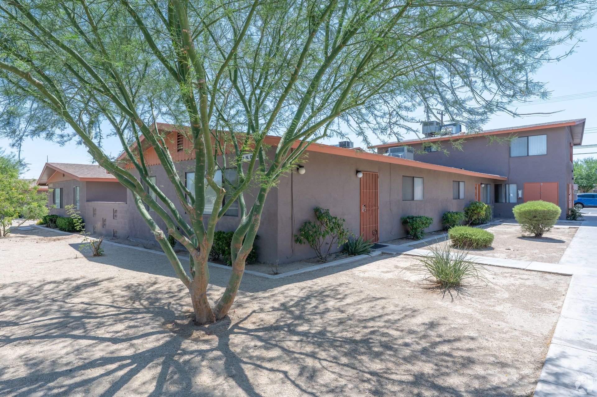 Single-story stucco house with desert landscaping and a large tree in frontyard