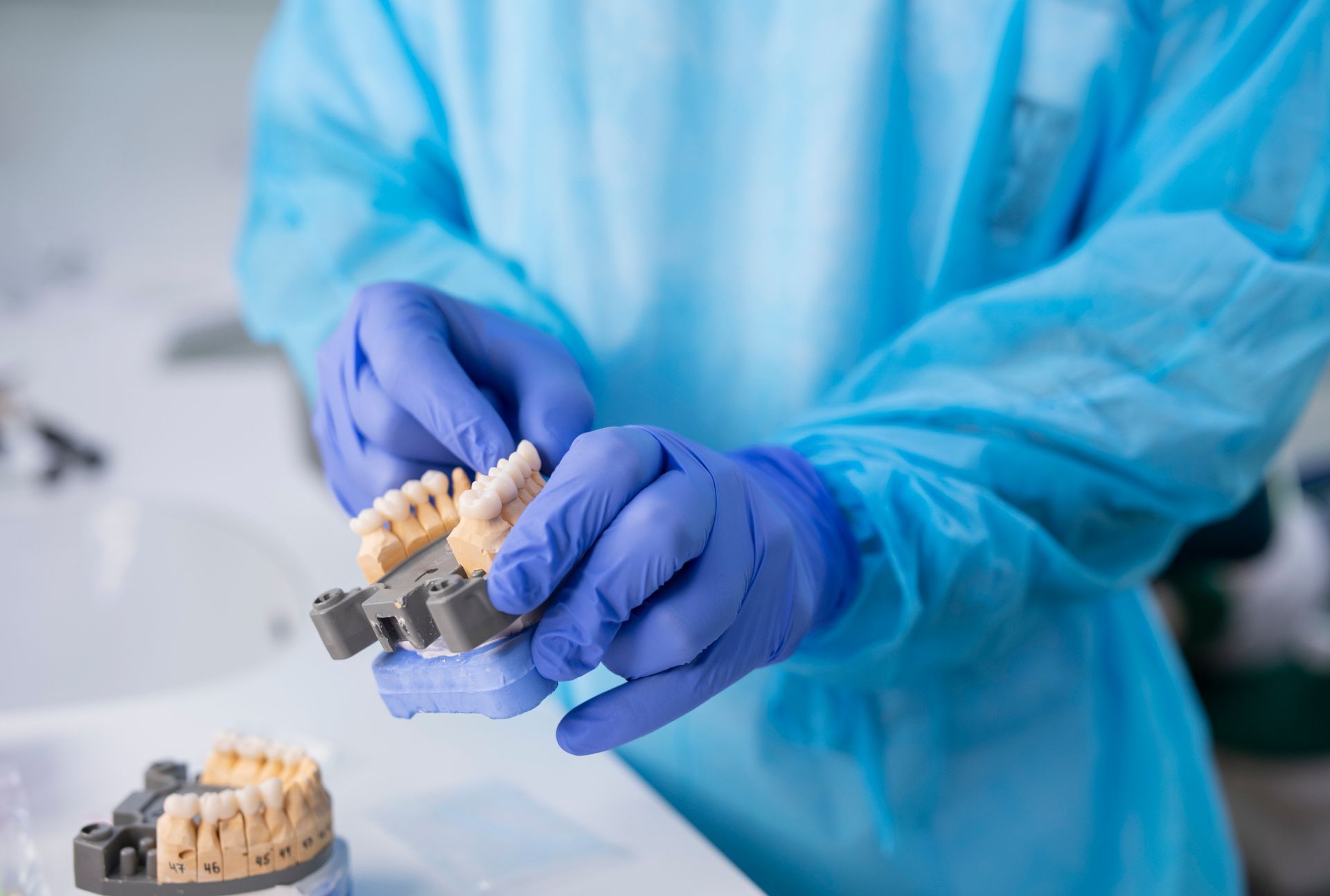 A dentist is holding a model of teeth in his hands.