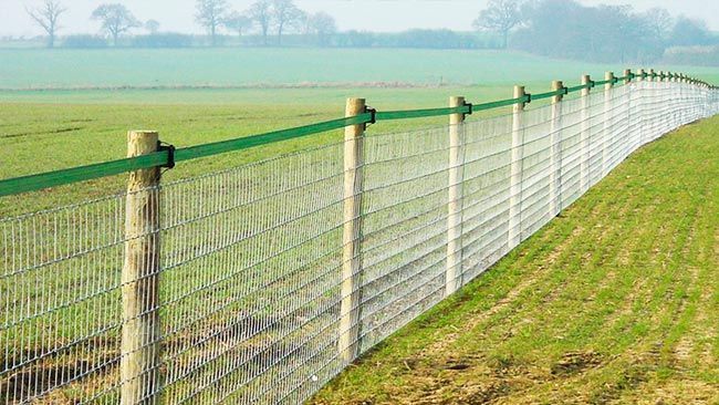 Agriculture Fence