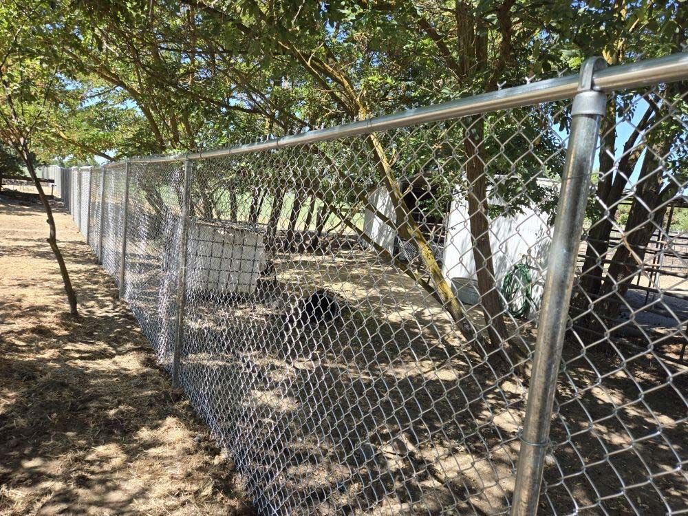 Fence Company Near Me