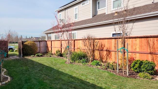 Custom Wood Fence