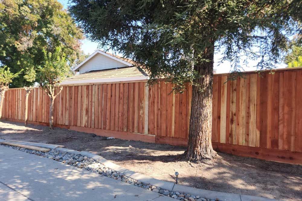 Board on Board Fence