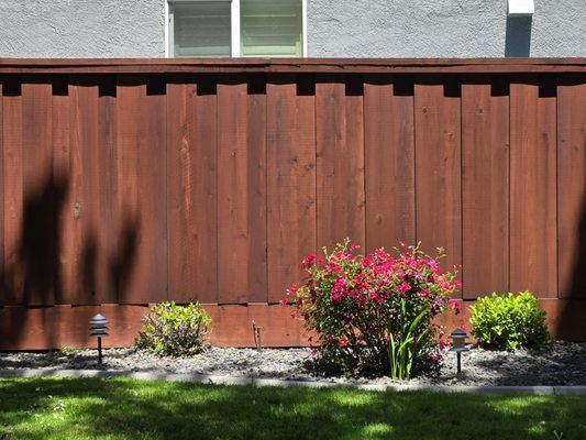 Fence Company Near Me
