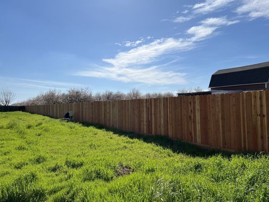 Fence Company Near Me