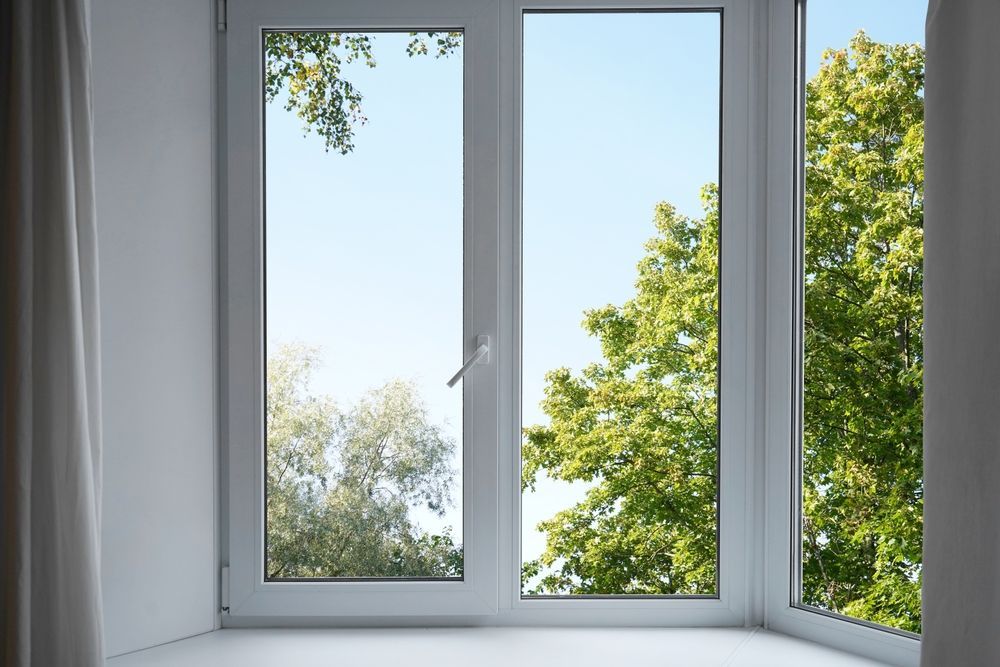 White window frames with a view of blue sky and green trees.