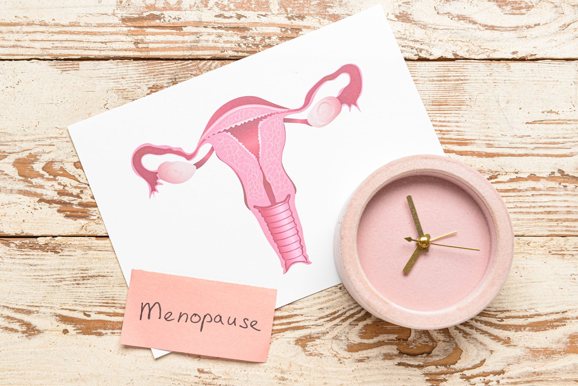 Eierstock mit dem zeitlichen Hinweis auf die Menopause