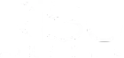Blank white image with a thin black horizontal line near the bottom edge