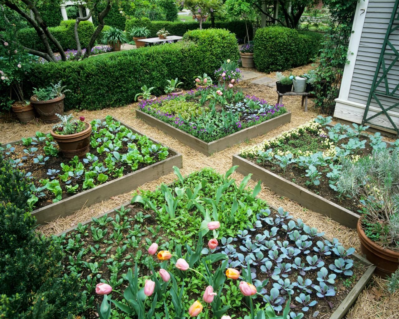 A garden filled with lots of plants and flowers